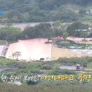 황매산미리내파크 오토캠핑장 이미지