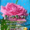 좋은생각 이미지