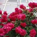 구월우체국 이미지