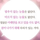울림에향기 이미지