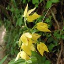 감일고등학교 이미지