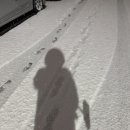 바른누리치과의원 이미지