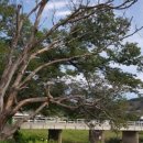 하늘바람 메디칼 이미지