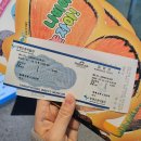 장수하늘소목장 | 양평 아이와 가볼만한곳, 겨울 실내 추천, 양평곤충박물관 관람후기