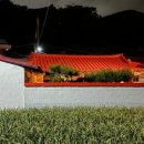 월오포레스트 이미지