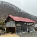 장태산자작나무펜션 이미지