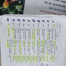 귤나방 이미지