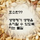 (주)좋은효소 네이버블로그