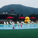 자라섬야외수영장 이미지