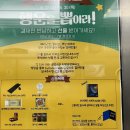 일편댕심 | 태국식 회식, 피자, 고든램지버거 시장조사 하고 한방데이트 😏커플 데이트