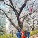 중랑천길 이미지