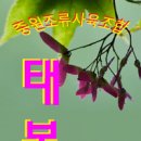 태봉조류원