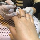 아르고네일 이미지