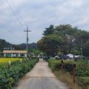 충주 비내캠프 체험학습장 네이버블로그