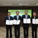 평화 태양광발전소 이미지