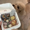 멍깨비마켓 | [삼송반려동물간식점, 멍깨비마켓] 수제간식으로 가득한 강아지피크닉 도시락세트 후기