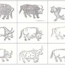 안악축산 이미지