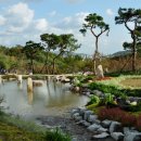 서울숲 Daum카페