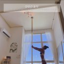 데이지댄스스튜디오 이미지