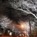 한수제 일원 이미지