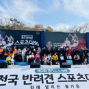 205 이미지