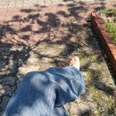 서호동-21 이미지