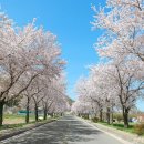 금곡면보건지소 이미지