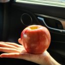 한성농원 이미지