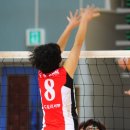 남해실내체육관 체육관 이미지