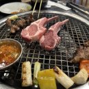 창원 양고기 상남동 회식 [호랑이 양갈비 창원 상남점]