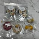 댕댕어썸 이미지