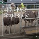 파주 아이랑 가볼만한 곳 ‘우농타조농장’ 24개월 이하 무료