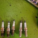 오토오아시스 일산 백석점 이미지