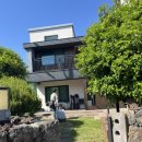 하모리 담채 이미지