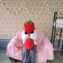 매지밀 딸기농장 이미지