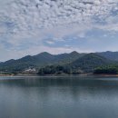 판암동155 이미지