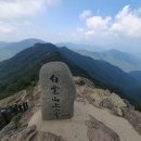 광양 옥룡사지 | [우리 산하] 봄을 찾아서 광양 백운산 옥룡사지 동백숲을 가다