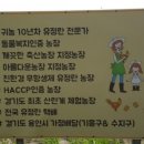 수지농협 로컬푸드 직매장 이미지