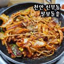 천안 신부동 [팔보돌솥] 오삼불고기 솥밥 푸짐한 한상 가득 한식 맛집