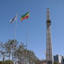 공지숲매점 이미지