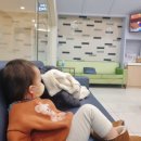 튼튼이 소아치과의원 이미지