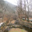 [대전] 피서의 성지를 찾아서 ~ 메타세콰이어 나무로 가득한 아름다운 휴양림, 장태산 자연휴양람 (장태산계곡, 형제산) 이미지