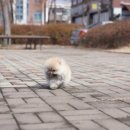 미스터앤 미세스멍 원주점 이미지