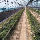 광태농장 이미지