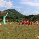 세븐일레븐 원주우산제일점 | 원주 드라이브 코스 원주 용수골 꽃 양귀비축제 정보