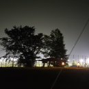 갯골캠핑장 이미지