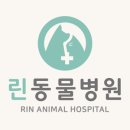노블동물병원 이미지