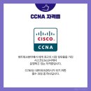 네트워크관리사학원, CCNA CCNP 국제자격증도OK 이미지