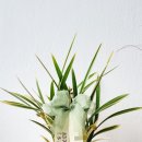 해송메디칼 이미지