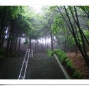 호명펜션 이미지